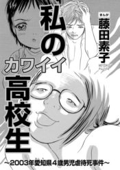 私のカワイイ高校生～2003年愛知県4歳男児虐待死事件～